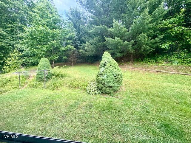 222 SW Azalea Dr, Wise, VA 24293 - view of green lawn featuring a forest view