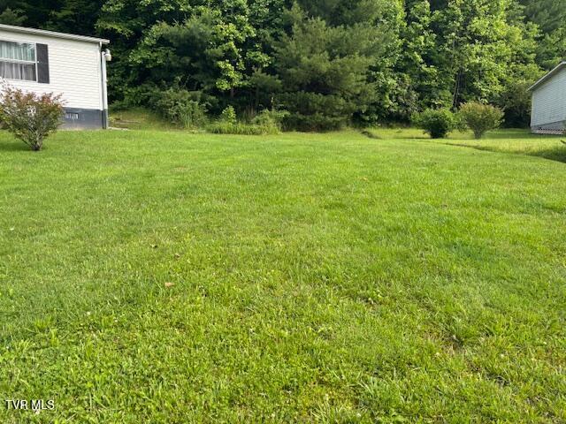 222 SW Azalea Dr, Wise, VA 24293 - view of grassy yard