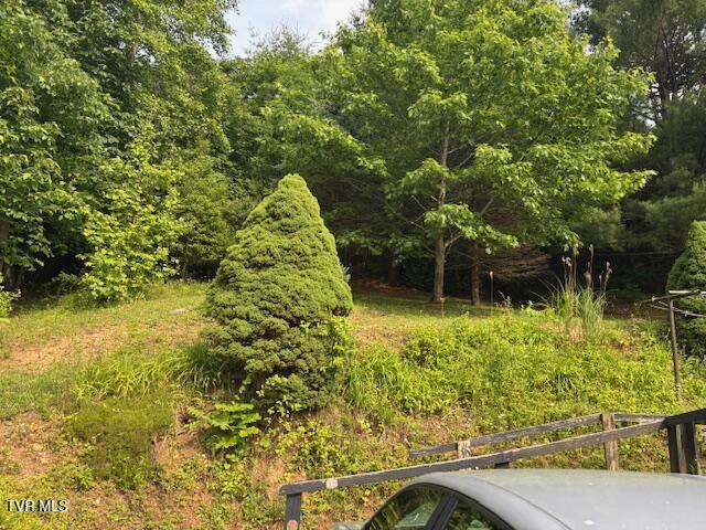 222 SW Azalea Dr, Wise, VA 24293 - view of wooded area