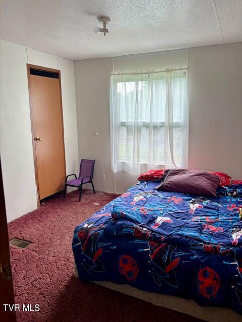 222 SW Azalea Dr, Wise, VA 24293 - carpeted bedroom with a textured ceiling