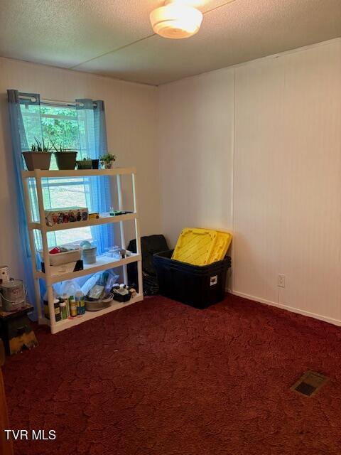 222 SW Azalea Dr, Wise, VA 24293 - carpeted bedroom featuring a textured ceiling
