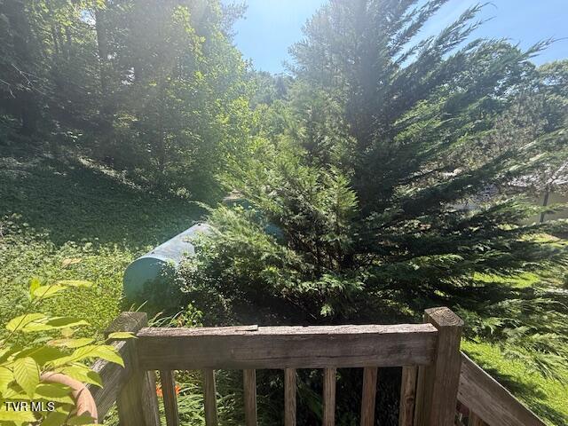 123 Mcmahan Gibbs Rd, Roan Mountain, TN 37687 - exterior view