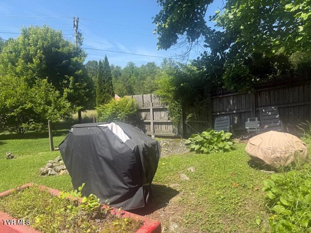 123 Mcmahan Gibbs Rd, Roan Mountain, TN 37687 - view of yard