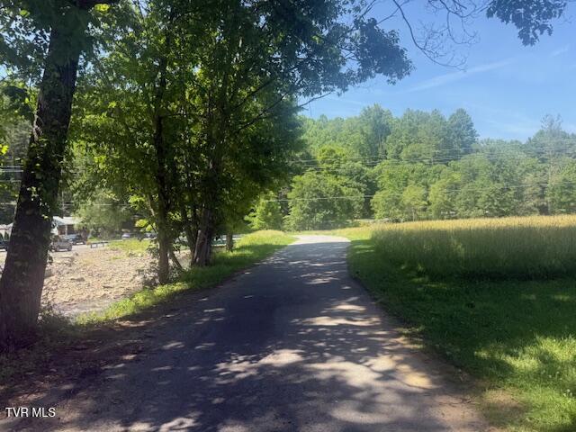 123 Mcmahan Gibbs Rd, Roan Mountain, TN 37687 - view of street with a view of trees