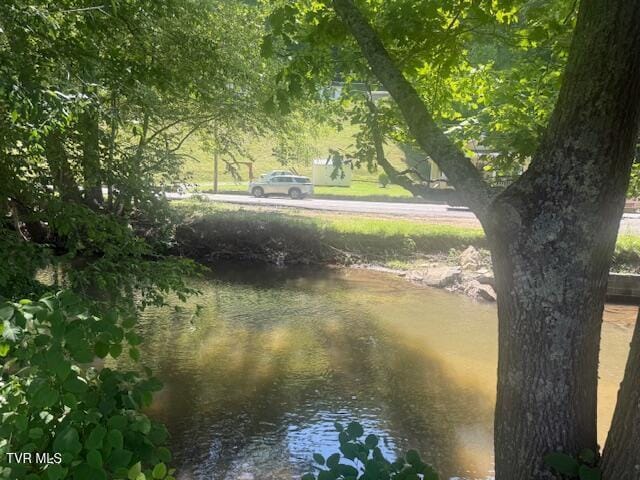 123 Mcmahan Gibbs Rd, Roan Mountain, TN 37687 - water view
