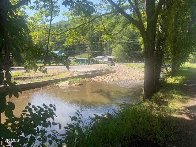 123 Mcmahan Gibbs Rd, Roan Mountain, TN 37687 - water view
