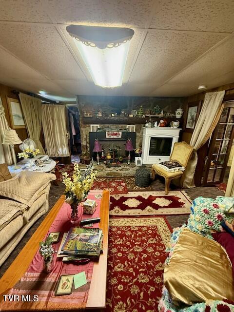 123 Mcmahan Gibbs Rd, Roan Mountain, TN 37687 - living room with a fireplace
