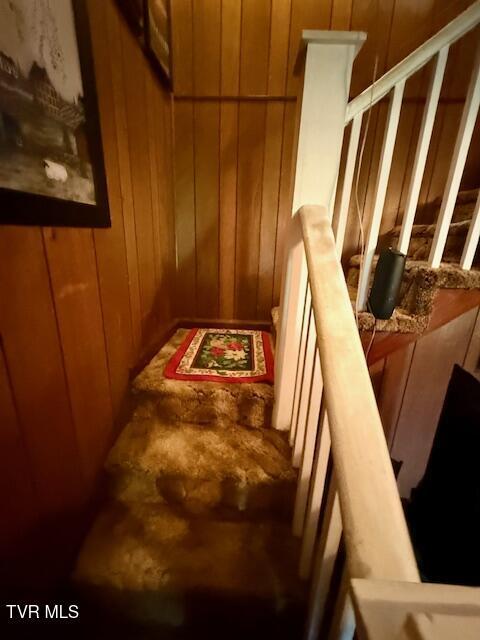 123 Mcmahan Gibbs Rd, Roan Mountain, TN 37687 - stairway with wooden walls