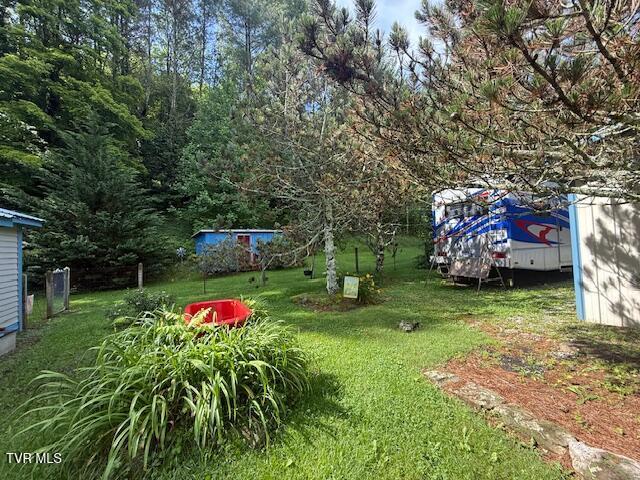 123 Mcmahan Gibbs Rd, Roan Mountain, TN 37687 - view of green lawn
