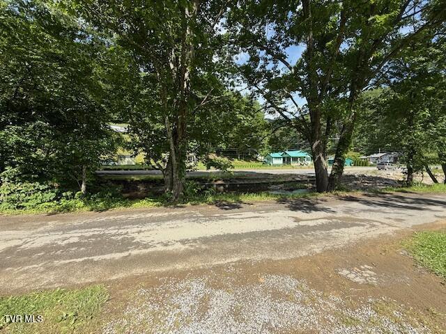123 Mcmahan Gibbs Rd, Roan Mountain, TN 37687 - view of yard