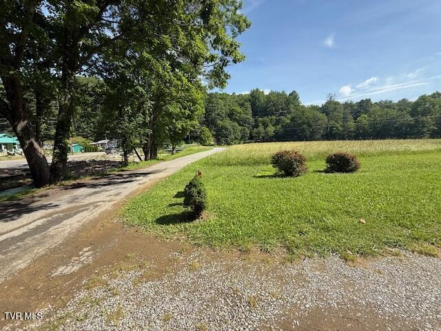 123 Mcmahan Gibbs Rd, Roan Mountain, TN 37687 - view of street
