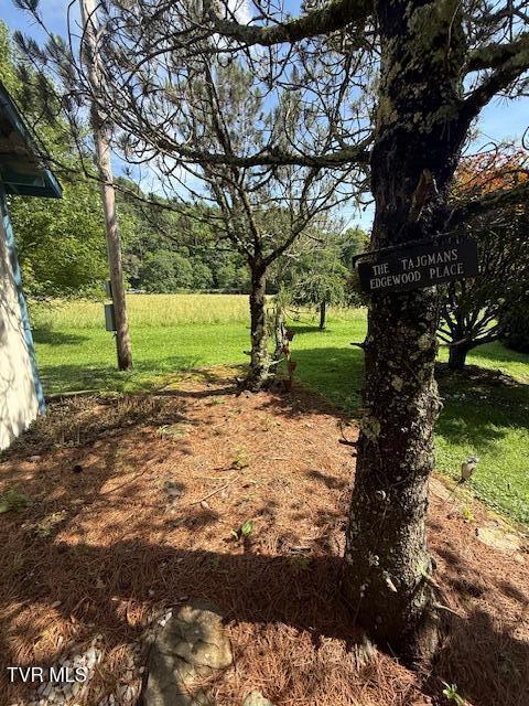123 Mcmahan Gibbs Rd, Roan Mountain, TN 37687 - view of green lawn