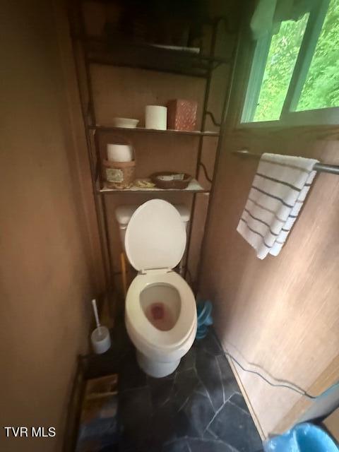 123 Mcmahan Gibbs Rd, Roan Mountain, TN 37687 - bathroom featuring toilet