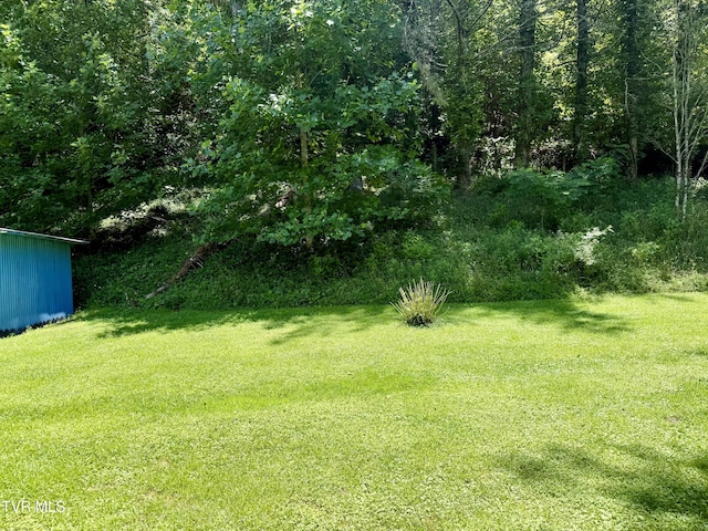 123 Mcmahan Gibbs Rd, Roan Mountain, TN 37687 - photo 72