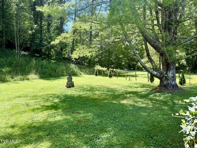 123 Mcmahan Gibbs Rd, Roan Mountain, TN 37687 - photo 73