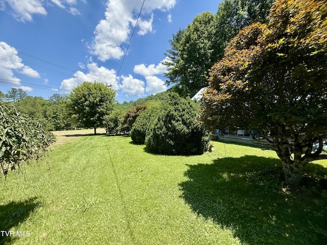 123 Mcmahan Gibbs Rd, Roan Mountain, TN 37687 - photo 76