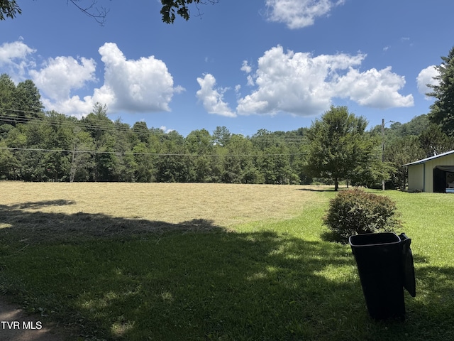123 Mcmahan Gibbs Rd, Roan Mountain, TN 37687 - photo 78