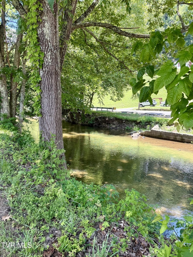 123 Mcmahan Gibbs Rd, Roan Mountain, TN 37687 - photo 80