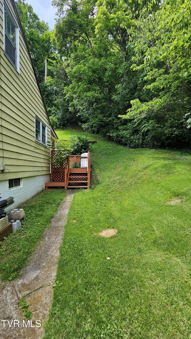 3135 3rd Ave, Saint Paul, VA 24283 - view of green lawn