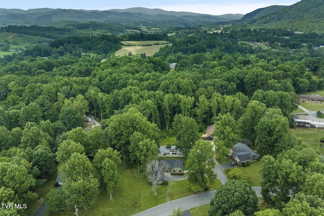 5 Camden Ln, Johnson City, TN 37601 - photo 52