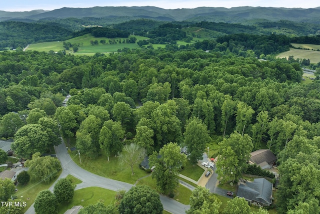 5 Camden Ln, Johnson City, TN 37601 - photo 56