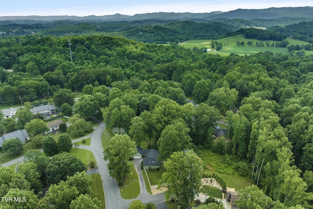 5 Camden Ln, Johnson City, TN 37601 - photo 53