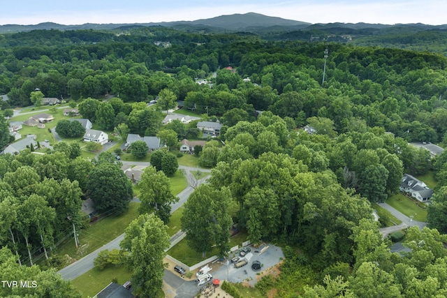 5 Camden Ln, Johnson City, TN 37601 - photo 55