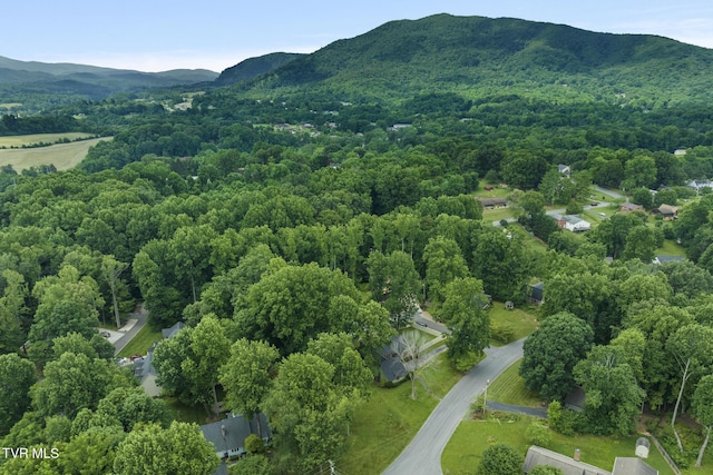 5 Camden Ln, Johnson City, TN 37601 - photo 51