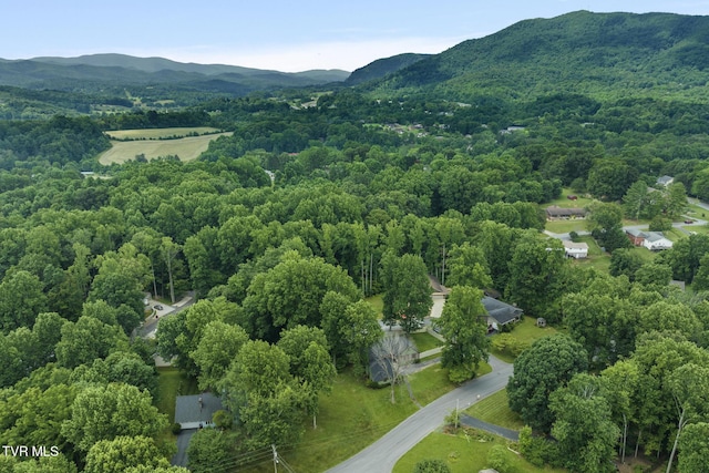 5 Camden Ln, Johnson City, TN 37601 - photo 50