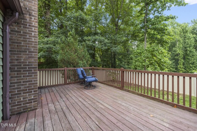 5 Camden Ln, Johnson City, TN 37601 - photo 47