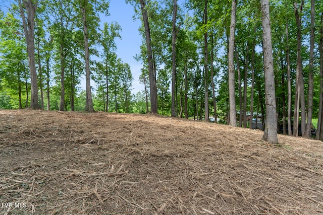 1ACRE J Mell Johnson Rd, Greeneville, TN 37745