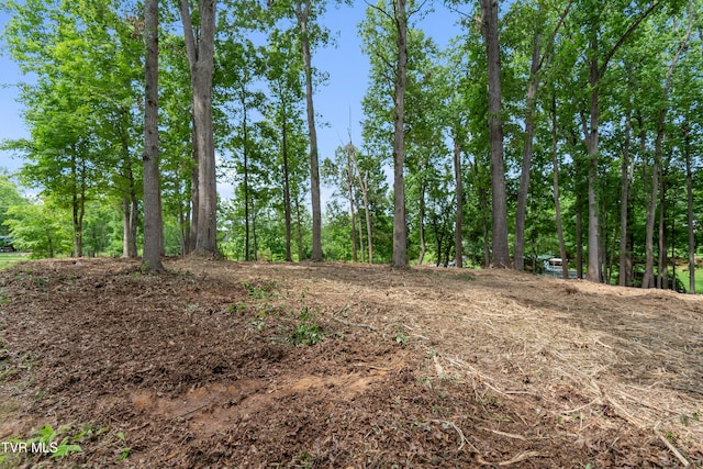 1ACRE J Mell Johnson Rd, Greeneville, TN 37745