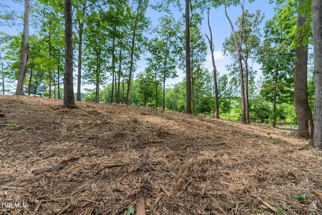 1ACRE J Mell Johnson Rd, Greeneville, TN 37745