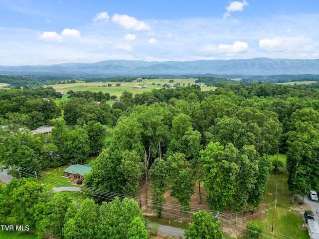 1ACRE J Mell Johnson Rd, Greeneville, TN 37745