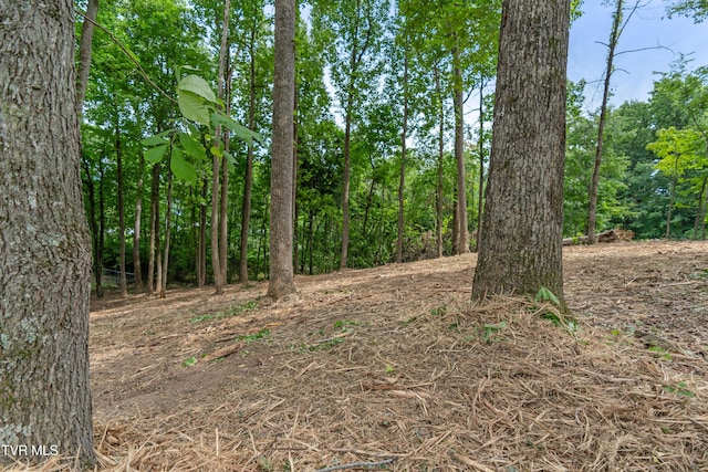 1ACRE J Mell Johnson Rd, Greeneville, TN 37745