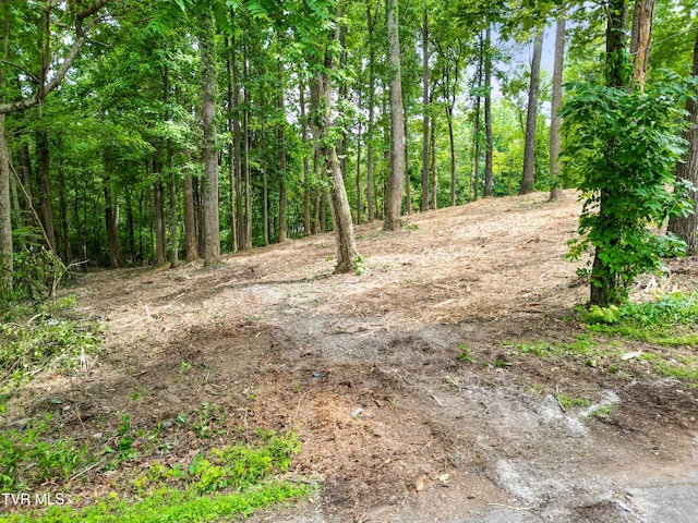 1ACRE J Mell Johnson Rd, Greeneville, TN 37745