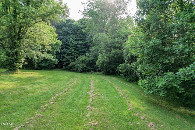 113 Paul Mathes Rd, Chuckey, TN 37641 - view of green lawn with a forest view