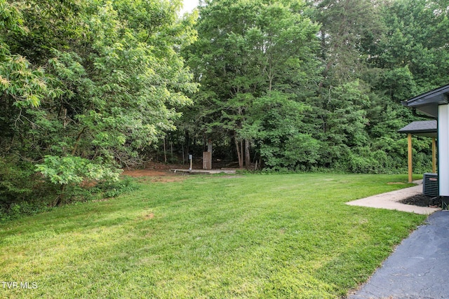 113 Paul Mathes Rd, Chuckey, TN 37641 - view of green lawn with a wooded view