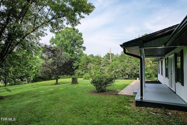 113 Paul Mathes Rd, Chuckey, TN 37641 - view of green lawn with a patio area