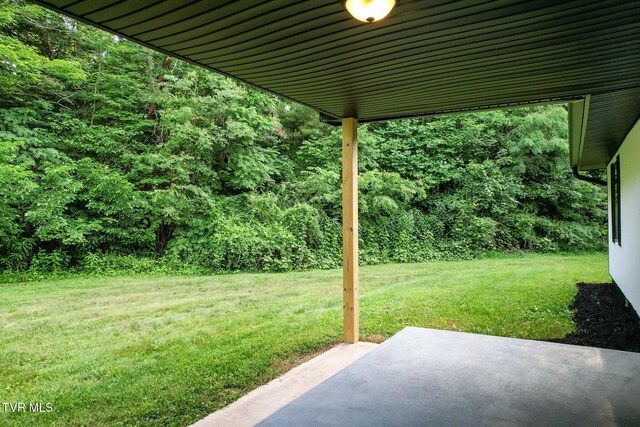 113 Paul Mathes Rd, Chuckey, TN 37641 - view of green lawn featuring a patio and a wooded view