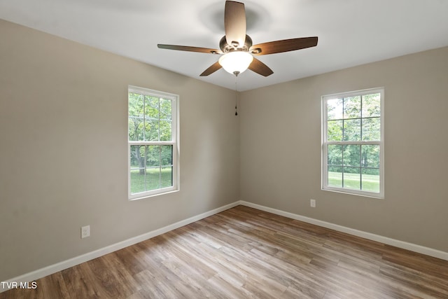 113 Paul Mathes Rd, Chuckey, TN 37641 - spare room with healthy amount of natural light, light wood-style floors, and a ceiling fan