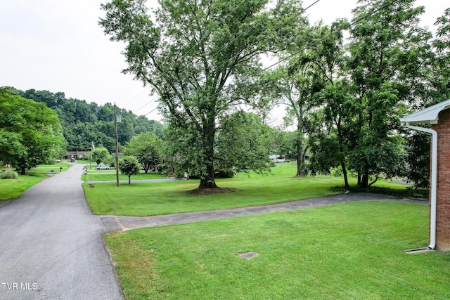 1908 Old Tusculum Rd, Greeneville, TN 37745 - surrounding community with a yard