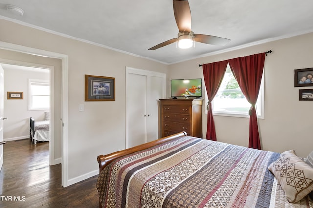 1908 Old Tusculum Rd, Greeneville, TN 37745 - bedroom featuring multiple windows, dark wood-style floors, a closet, ornamental molding, and ceiling fan