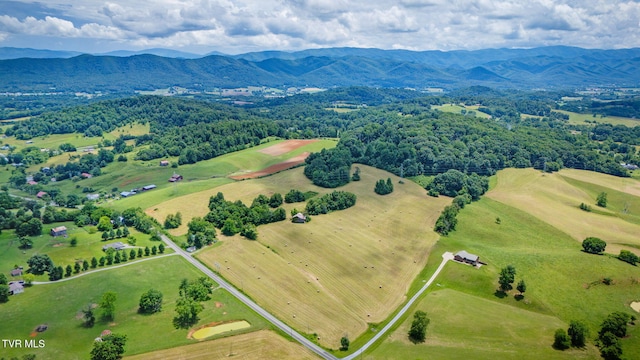 672 Treadway Trl, Telford, TN 37690