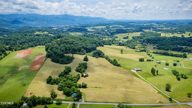 672 Treadway Trl, Telford, TN 37690
