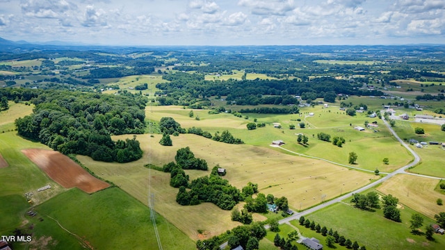 672 Treadway Trl, Telford, TN 37690