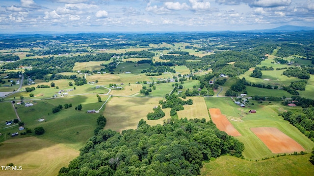 672 Treadway Trl, Telford, TN 37690