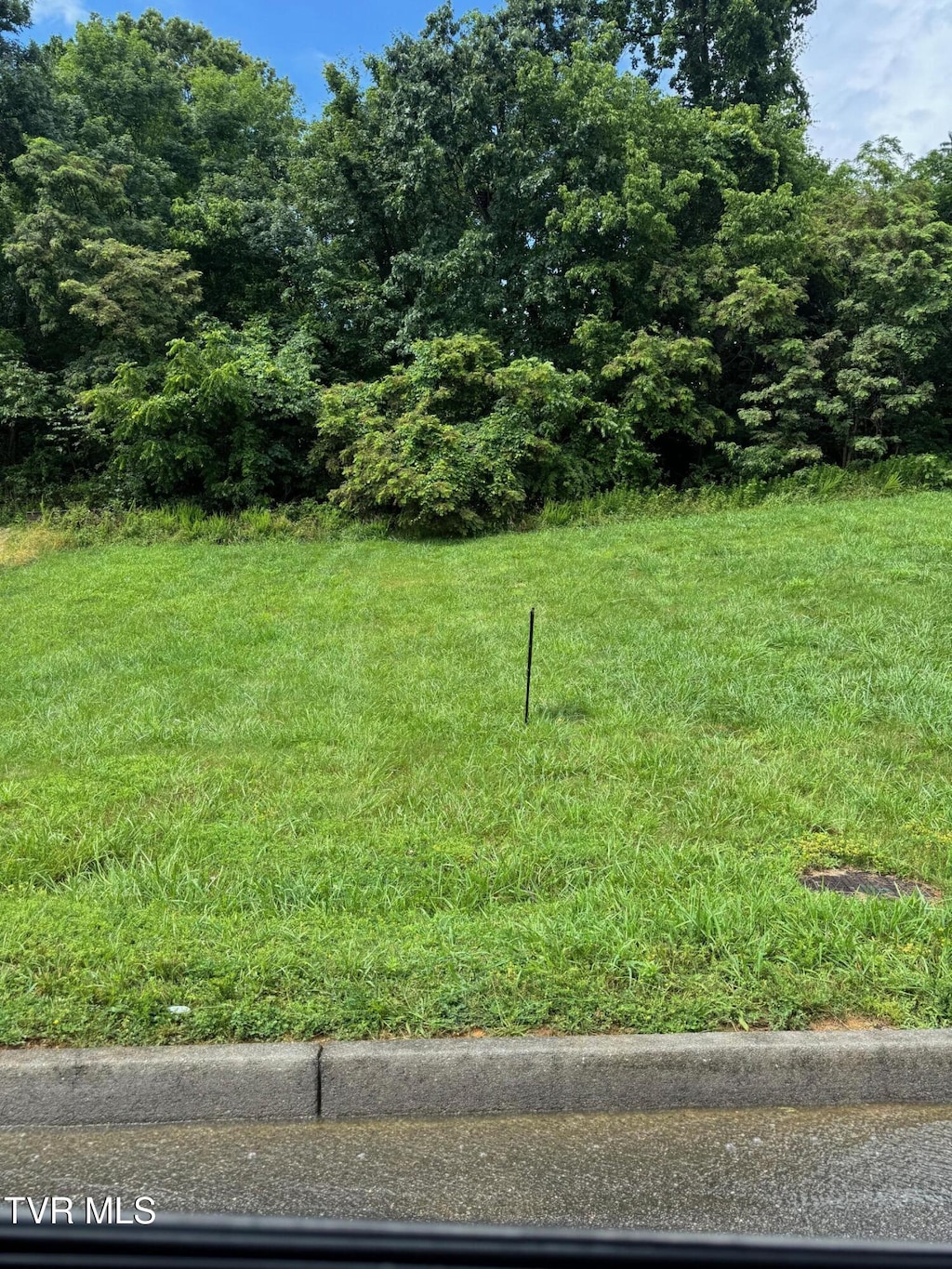 2219 Friendship Cir, Kingsport, TN 37665 - photo 1