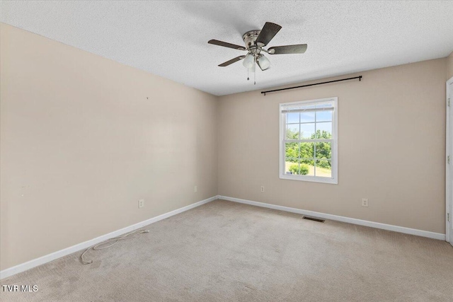 292 Leesburg Rd, Telford, TN 37690 - photo 13