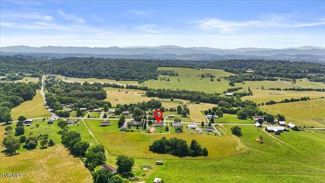 292 Leesburg Rd, Telford, TN 37690 - photo 38